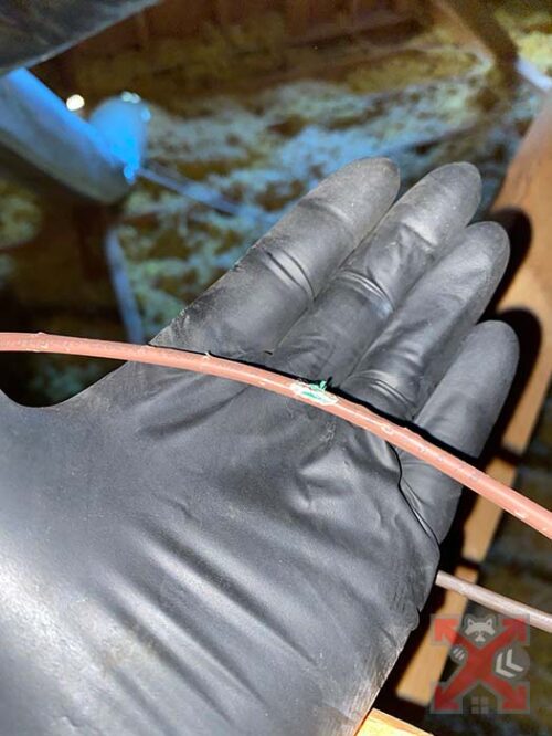 Chewed Wires from Mice and Rats